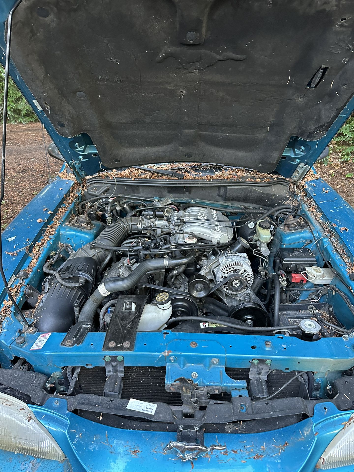 1995 Ford Mustang
