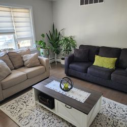 Sofa & Loveseat (used)