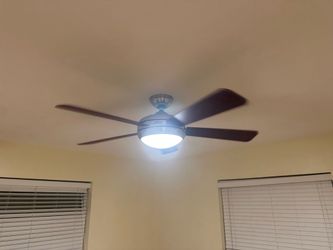 Ceilings fans 3