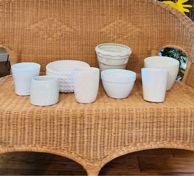 Houseplant Pot Bundle