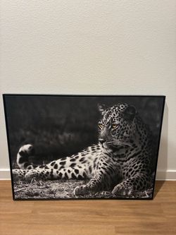 Wall pictures