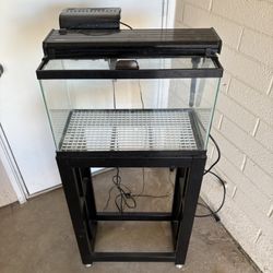 10 Gallon Aquarium with Accessories