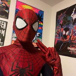 Spidperman costume 