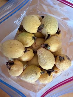 Fresh Guavas