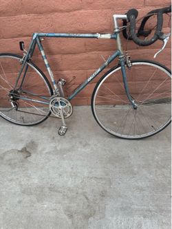 Vintage Raleigh professional bike campanolo record grupset