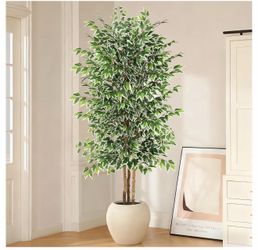 2 beautiful looks real 7ft Large Ficus Artificial Tree with Natural Trunk