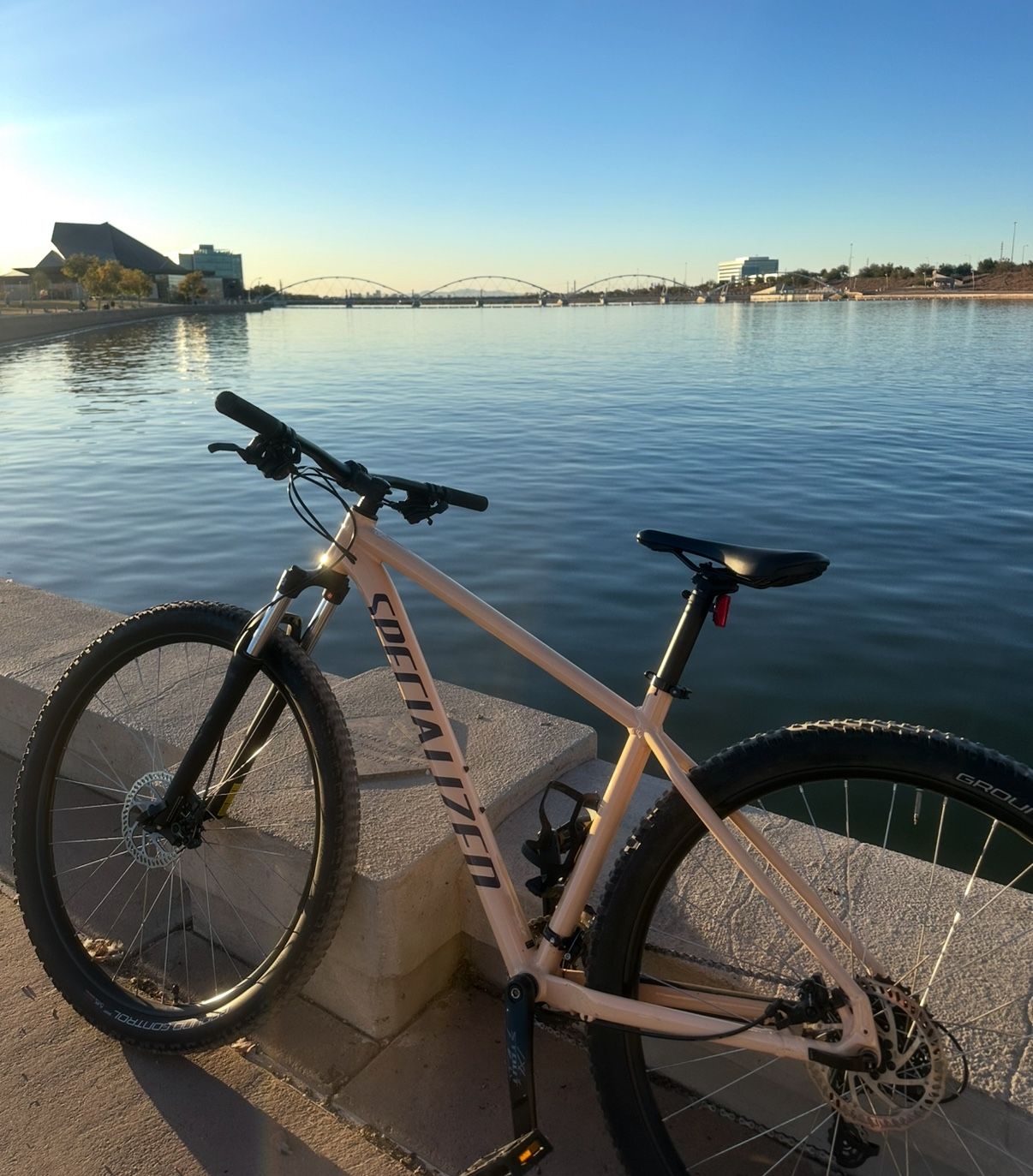 Specialized Rockhopper 29 Large Aluminum