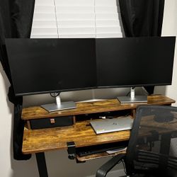 2 Dell Monitors 
