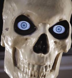 New In Box Famous 12 Foot Skeleton !
