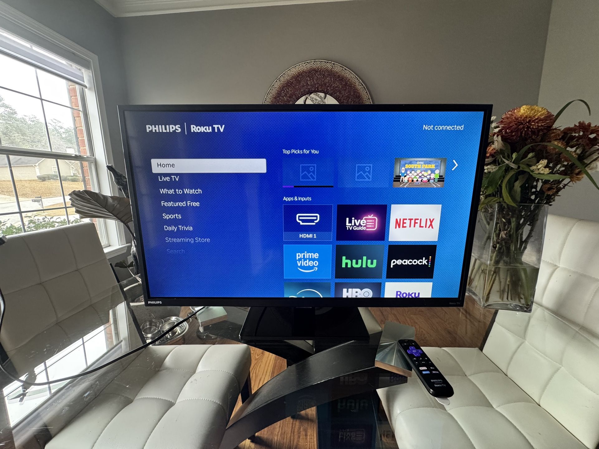 32” roku smart tv