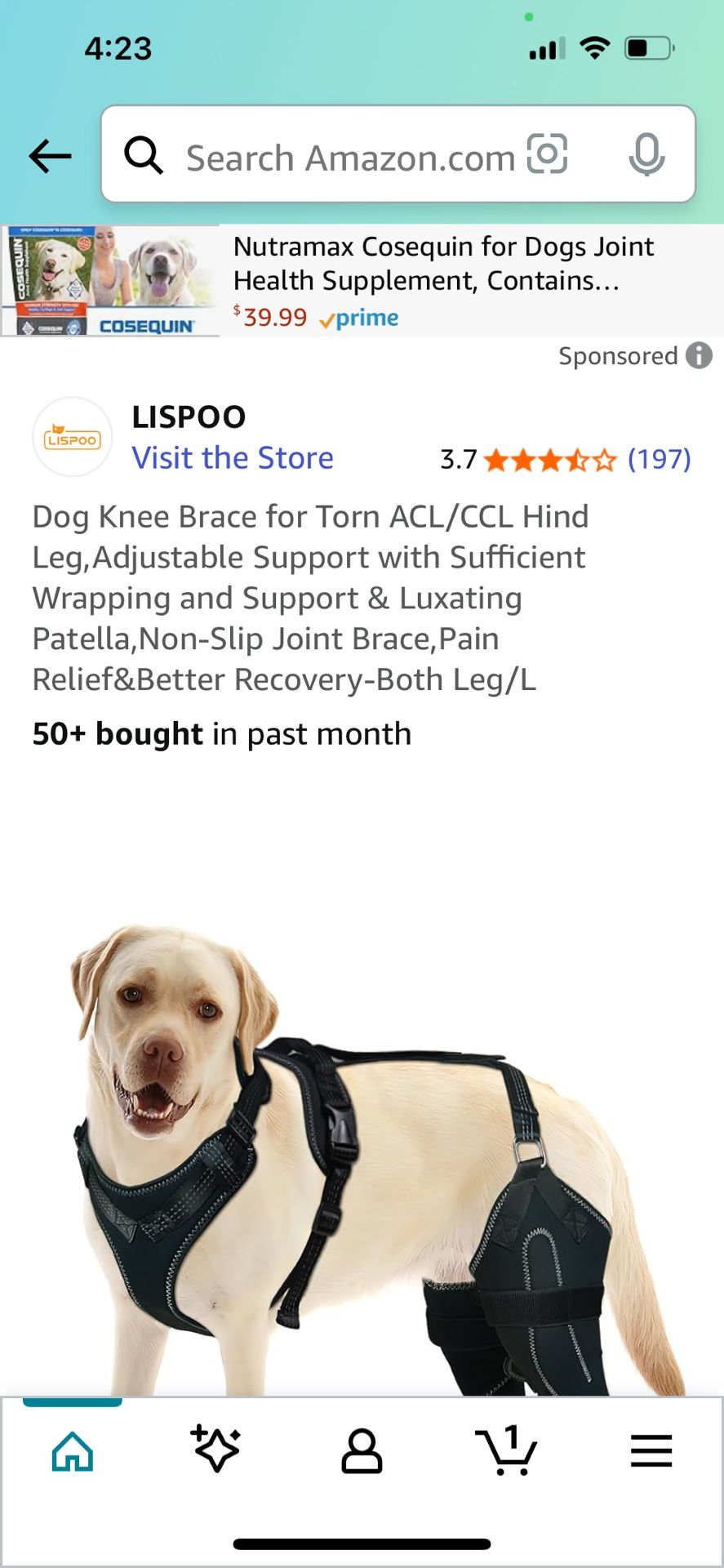 Dog Hind Legs Brace