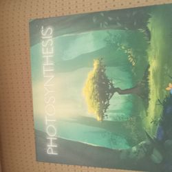 Grat Condition Copy Of Photosynthesis By Blue Orange