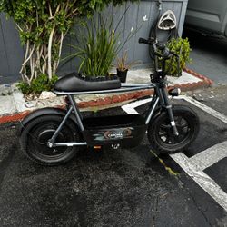 Electric Bike (Broken Peg)