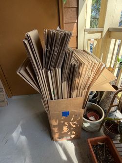 Moving Boxes $20 for all