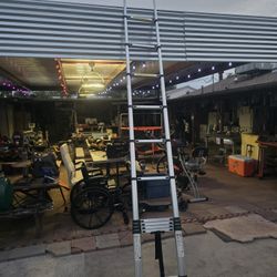 Telescoping Ladder 