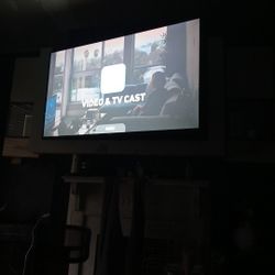 65inch Flat Screen