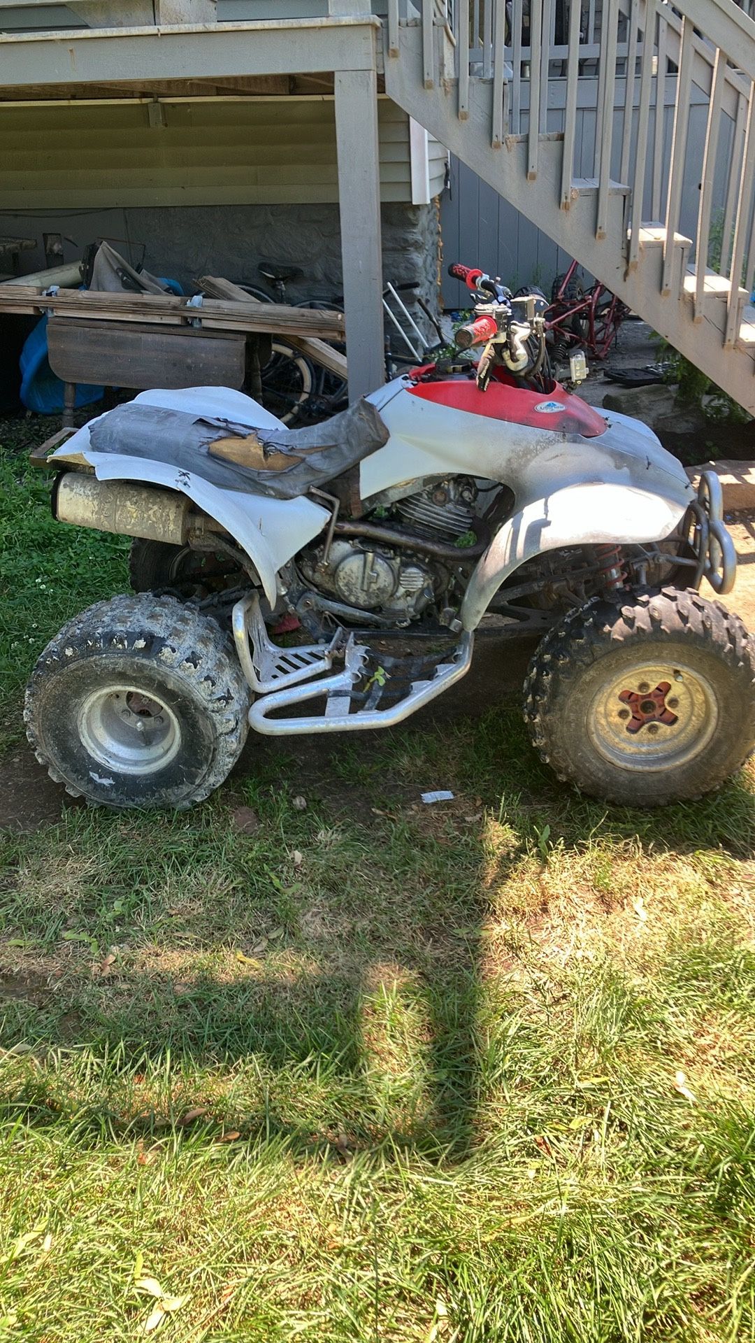 TRX250ex