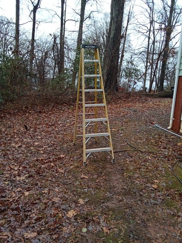 Werner 6ft Fiberglass Ladder