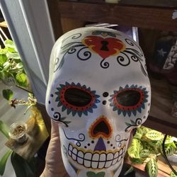 Skulls