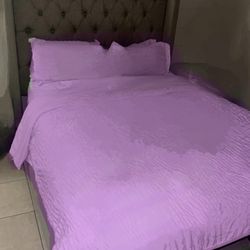 Only Bed Frame 