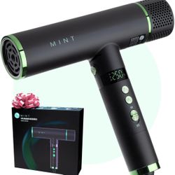 Mint Hummingbird Smart Professional Blow Dryer