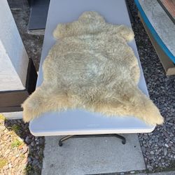 Real Sheepskin Wool Pelt