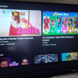 Mitsubishi 60" DLP TV