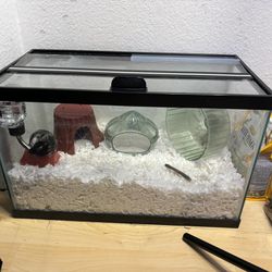 10gal  fish tank
