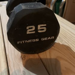 25 Pound Dumbbell Lbs 