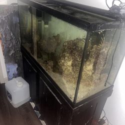 90 Gallon Tank With Items