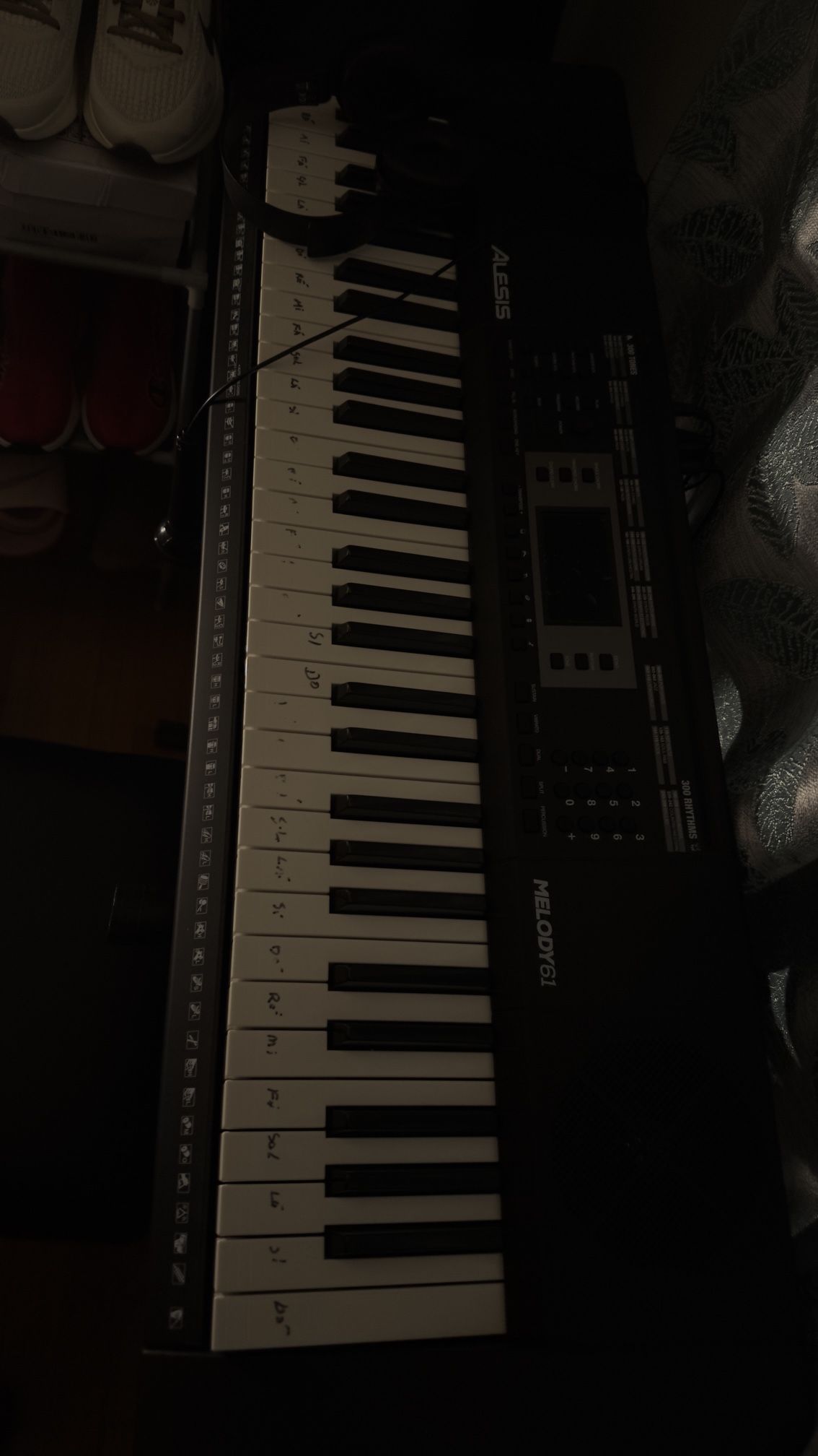 Electronic Piano