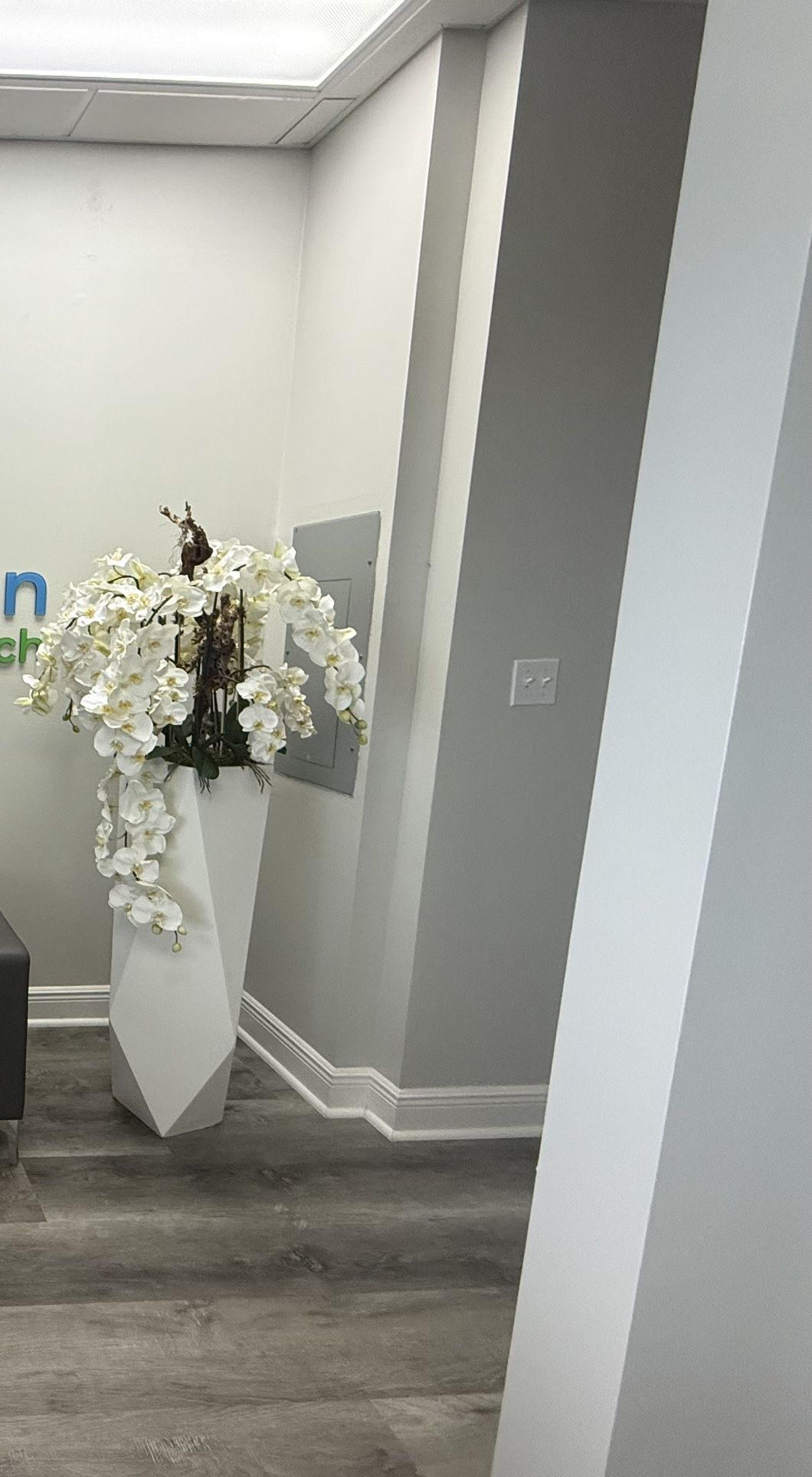 Flower Arrangement 