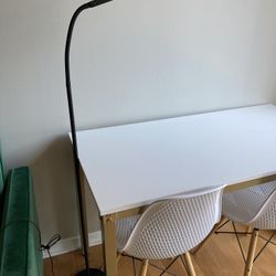 LED Desk & Floor Lamp