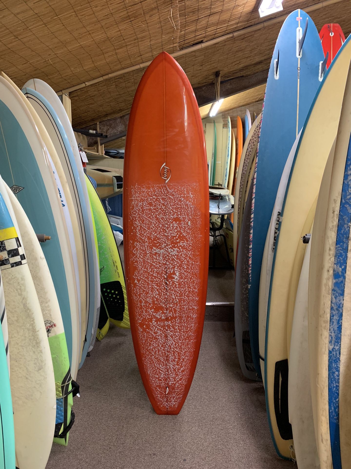 Bing 7’4 Resin Tint Gloss Surfboard