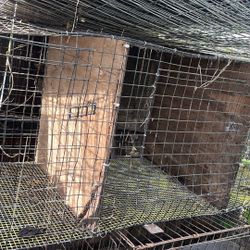 Cage For Chicken Three Way