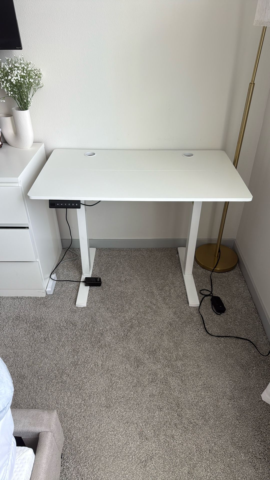 Electronic Standing Desk