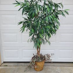 Artficial Plant 