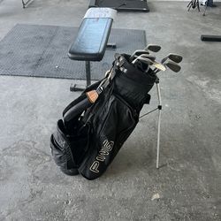 Cobra Irons, Ping Bag