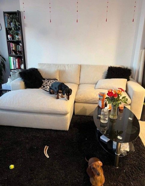Super PLUSH Feather Cloud Sectional Sofa Couch