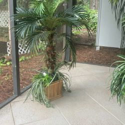 Beautiful 3 Ft Faux Plant 