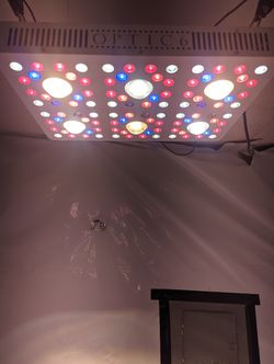 Optic 6 LED Grow Light for Sale Modesto, - OfferUp