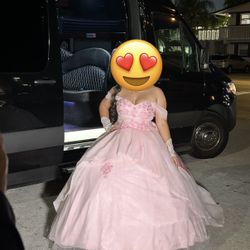 Quinceañera Dress Size 16- Luke New