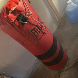 Everlast Choice Of Champs  Punching Bag 40lb 