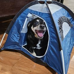 Small Tent For Tiny Chihuahua 
