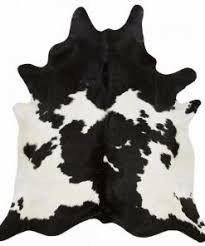 Raw Cow hides