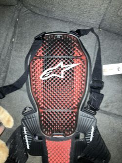 Alpinestars back protector