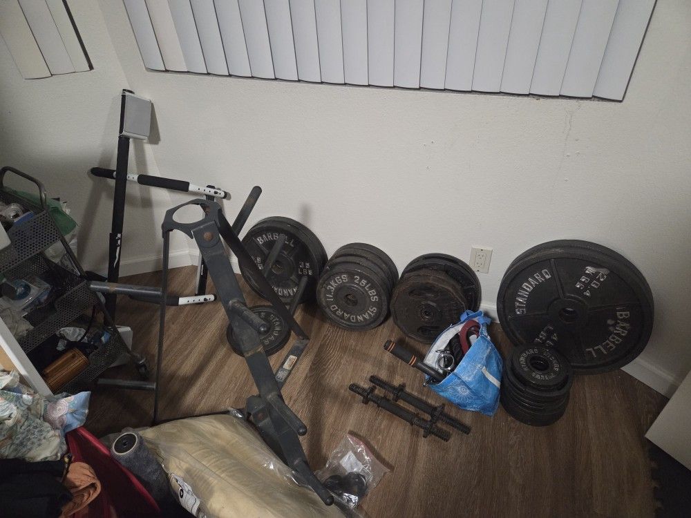 325lbs of 2" Weights + 2" Olympic bar; 1" weight plates + handles; pullup bar; weight tree; pulley