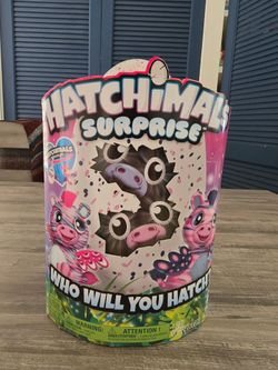 Retired Hatchimals Surprise Twins Giant Egg – NEW Sealed – $40 OBO