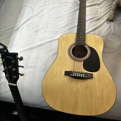 Rogue 12 string guitar