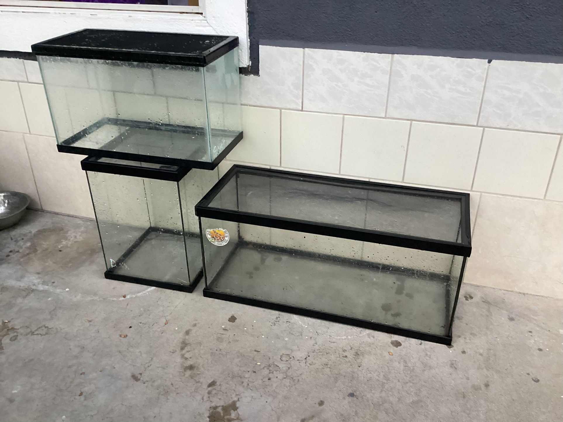 Reptile Tanks